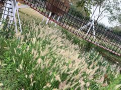 -前小桔亲子创意农场·草莓采摘·露营烧烤