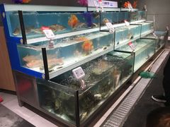 -盒马鲜生(莱蒙都会店)