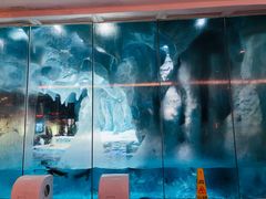 -帝企鹅自助餐厅•儿童岛•真企鹅(长隆企鹅酒店)