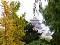 -莲花池公园