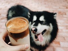 -Line 咖啡(石厦花园店)