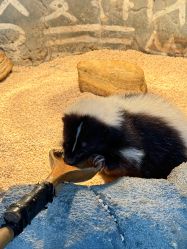 -Zoolung Zoolung动物主题公园(海信广场店)