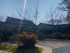 -江心屿景区
