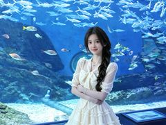 -海合安武汉极地海洋公园