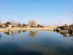 -北京西山国家森林公园