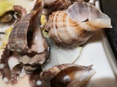 -苏大嘴海鲜牧场(奥林匹克店)