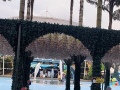 -海合安成都极地海洋公园