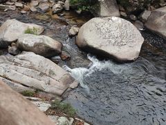 -海南热带雨林国家公园吊罗山景区