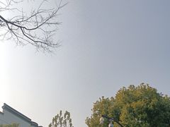-寻味乌镇·龙虾烧烤