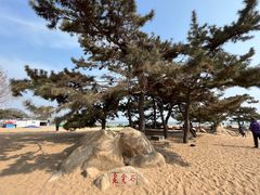 -老虎石海上公园