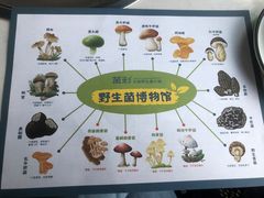 -菌彩云南野生菌火锅(呈贡七彩云南第壹城店)