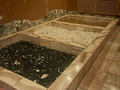 -水立方国际汤泉(六一中路店)