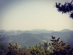 -金龙寺国家森林公园