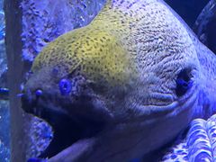 -成都浩海立方海洋公园