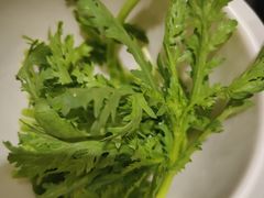 -草原传奇鲜羊火锅(桥北店)