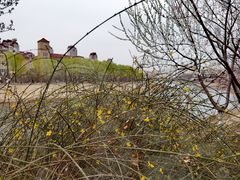 -桃花堤公园