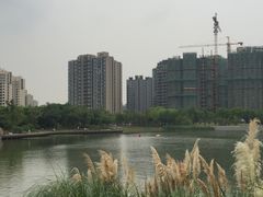 -南翔镇银翔湖公园