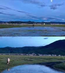 -纳帕海依拉草原