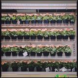 【探店打卡】火车南站附近宜家家居
