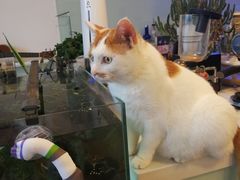 -平行世界·猫咖(首经贸店)