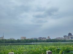 -莲花池公园