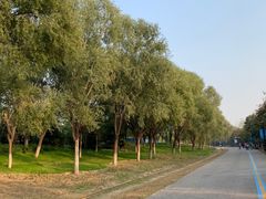 -永定河休闲森林公园