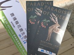 -鹿境梅花鹿生态园区