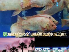 -小海豚·老字号海鲜餐厅(三亚湾店)