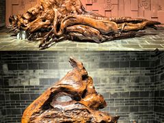 -乐山乌木文化博览苑