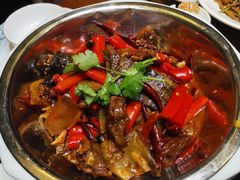 -湘潭九龙鱼头店(城南西路店)