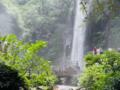 -莫里热带雨林景区