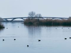 -贡湖湾湿地公园