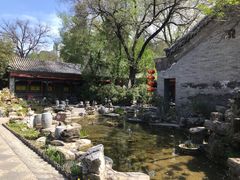 -白家大院·王府宫廷菜(苏州街店)