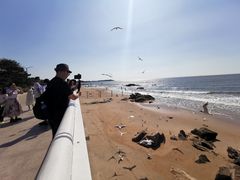 -老虎石海上公园