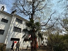 -敬亭山风景名胜区