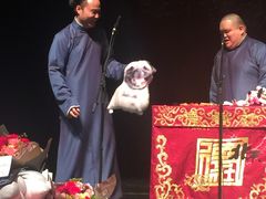 -合肥大剧院