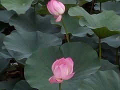 -长春市南湖公园