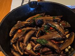 -Bco豆库(星耀天地店)