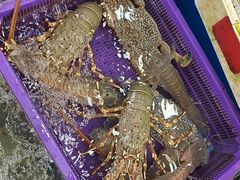 -拉威海鲜市场