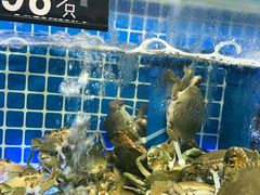 -盈旺小厨·非遗黄鳝饭(泰康路店)