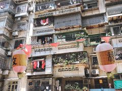 -猫街饭团(顶澳仔猫街店)