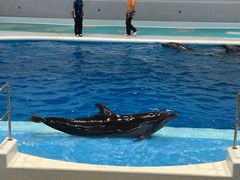 -鹿儿岛水族馆