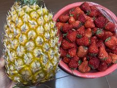 -江苏凌家塘农副产品批发市场果品区