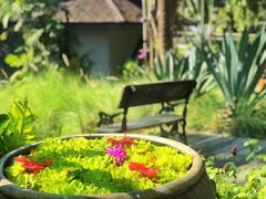 -四季酒店下午茶