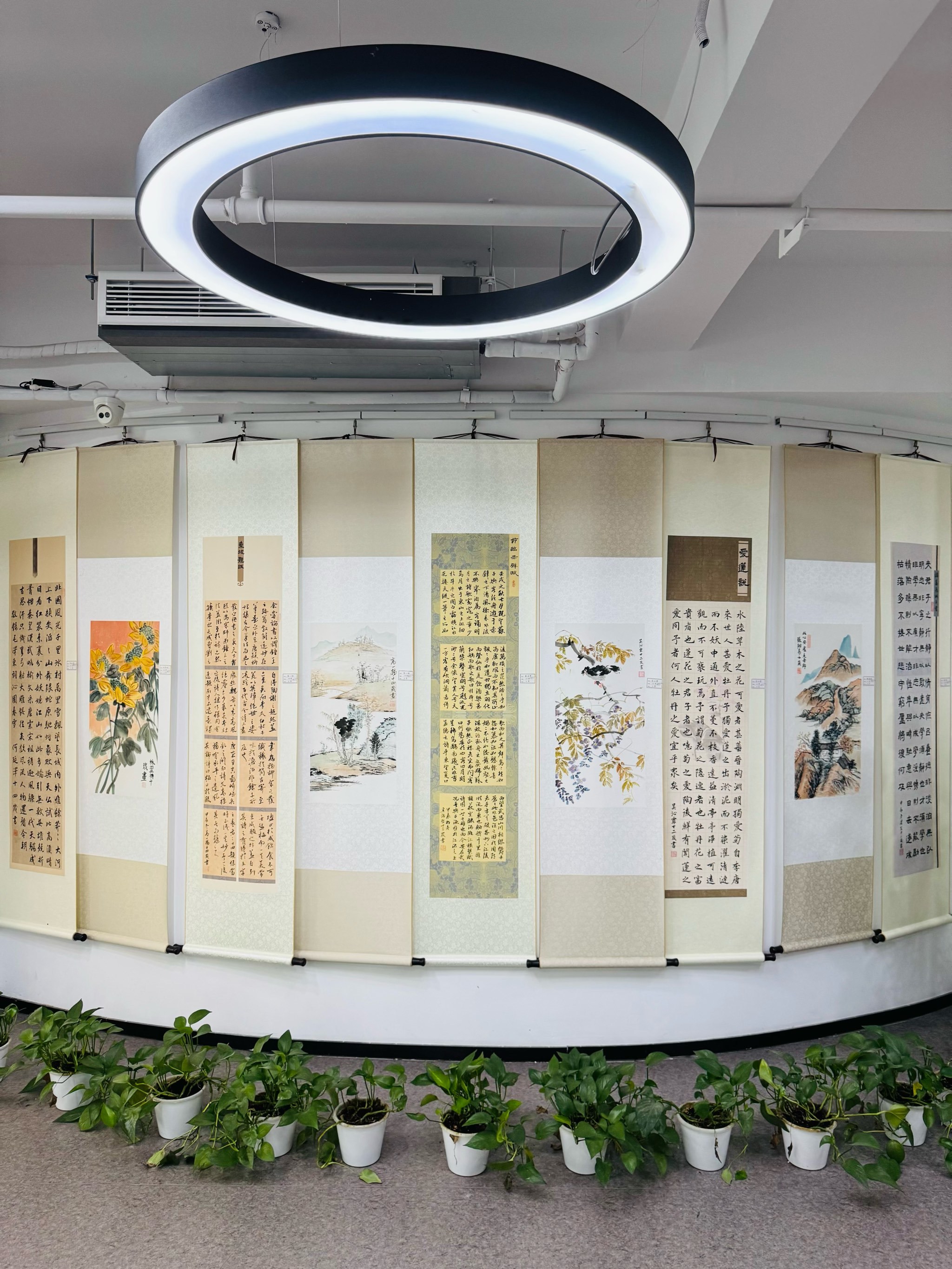 杭州|如一書院·书法国画天花板