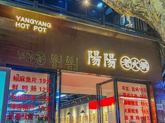 -阳阳老火锅(小南门店)