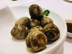 小葱芋艿-宝燕壹号(徐汇店)