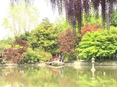 -嘉定紫藤园