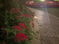 -广州花园酒店