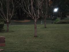 -徐家汇源景区-衡山公园